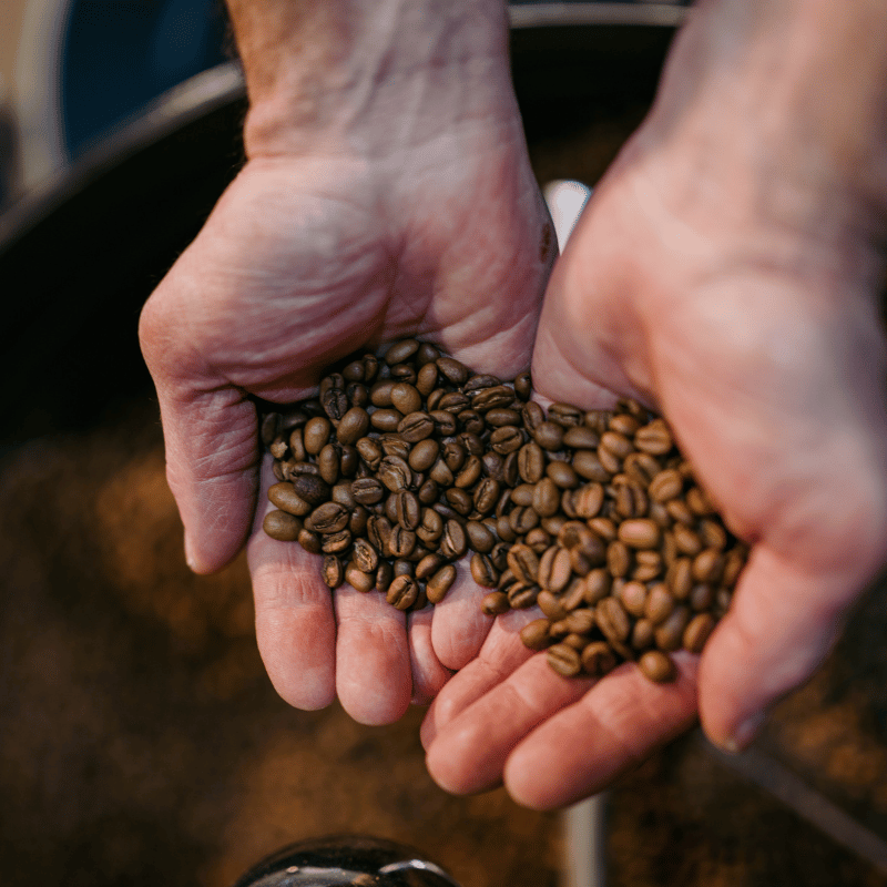 Seven Virtues Coffee Roasters